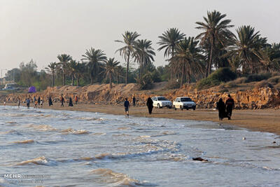 درگیری خونین در ساحل بندر امام حسن بوشهر؛ قاتل فرار کرد