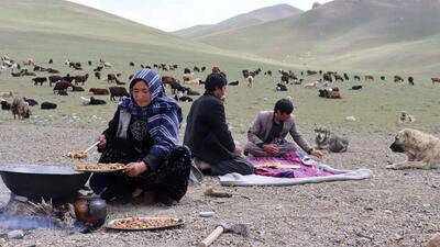 فرآیند پخت یک غذای محلی با قارچ کوهی و گوجه توسط یک بانوی عشایر افغان (فیلم)
