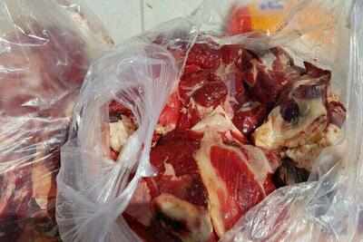 کشف بیش از ۹ هزار کیلوگرم گوشت و مرغ غیربهداشتی در یک سردخانه   + عکس