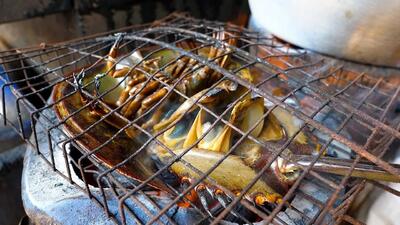 (ویدئو) غذای خیابانی در تایلندی؛ از پخت 20 کیلو ماهی تا کباب خرچنگ نعل اسبی
