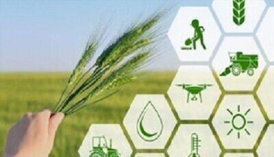تشریح برنامه‌های سازمان جهاد کشاورزی سیستان و بلوچستان برای تحقق شعار سال