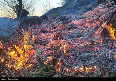 بیش از یک هکتار از اراضی منابع طبیعی راین در آتش سوخت - تسنیم