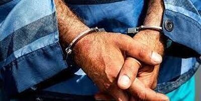 دستگیری سارق سیم و کابل برق با 11 فقره سرقت در کهگیلویه