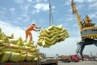 کاهش 43 درصدی واردات برنج در 11 ماه
