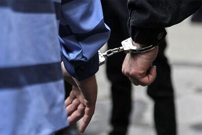 سارقان سابقه‌دار در بیجار دستگیر شد