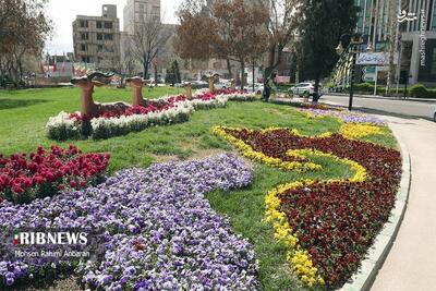 عکس/ نصب نمادهای نوروزی در مشهد