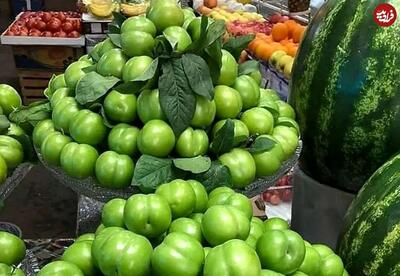 گوجه سبز هم قیمت پراید در سال 73 شد!