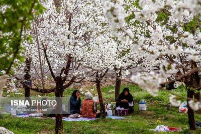 ۱۵۳ بوستان منطقه ۱۵ تهران برای روز طبیعت آماده شد