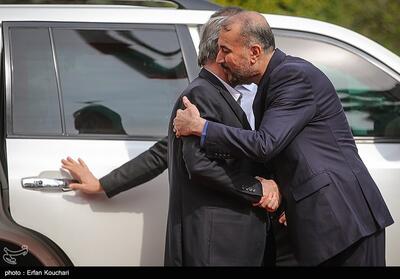 دیدار دبیرکل جنبش جهاد اسلامی فلسطین با وزیر امور خارجه- عکس خبری تسنیم | Tasnim