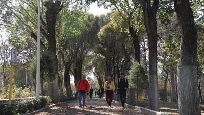 تداوم نهضت درختکاری در تهران/ ۲۲ هزار مترمربع به بوستان‌های منطقه ۱۷ اضافه می‌شود