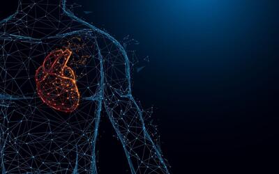 ضربان مرگ‌بار قلب با هوش‌مصنوعی مشخص می‌شود
