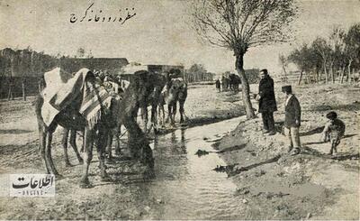 (تصاویر) سفر به تهران قدیم؛ عیدی که مردم تهران آب نداشتند؛ بلوار کشاورز ۸۰ سال قبل