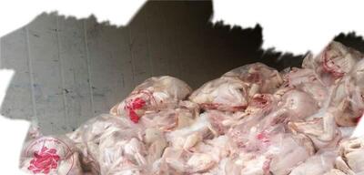 کشف و انهدام بیش از ۲۰۰ کیلو گرم گوشت مرغ تاریخ مصرف گذشته در همدان