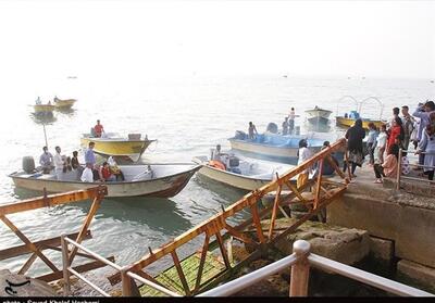 کمپ غواصی در سواحل استان بوشهر جانمایی شود - تسنیم