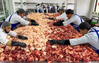 (ویدئو) فرآیند برش و کباب کردن ۱.۵ تُن گوشت گاو و گوسفند توسط ۸ آشپز ازبکستانی