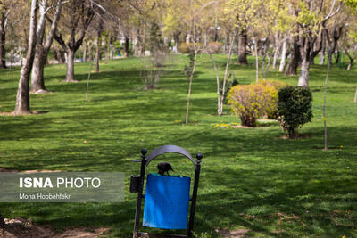 آمادگی بوستان‌های منطقه ۱۲ تهران برای میزبانی از شهروندان در روز طبیعت