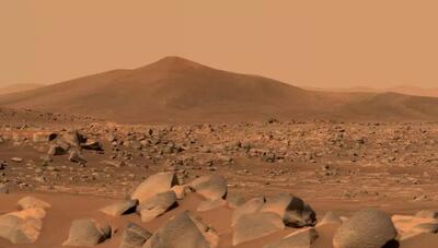 عکس | رونمایی پسر دکتر حسابی از سند خرید هزار متر زمین در مریخ