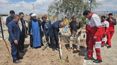 کاشت ٣٠ هزار اصله درخت در شهرستان زرند