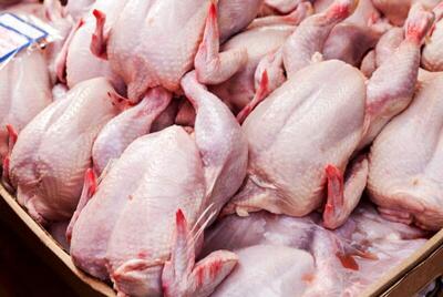 سالانه چه میزان مرغ صادر می‌شود؟