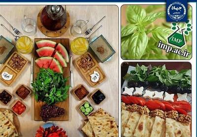 خواص مصرف سبزی ریحان در ماه مبارک رمضان | پایگاه خبری تحلیلی انصاف نیوز