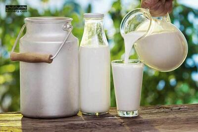 فواید شیر سرد بیشتر است یا گرم؟