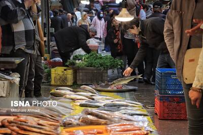 بازار ماهی فروشان رشت و تب خرید ماهی سفید در آخرین روزهای صید
