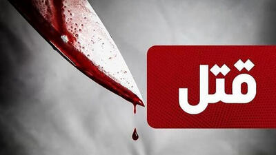 قتل هولناک مرد تهرانی با 9 ضربه چاقو در سعادت آباد / دست و پاهایش بسته شده بود