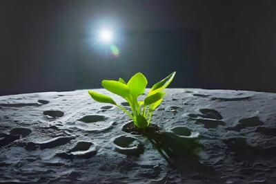 ماموریت آرتمیس ۳ ناسا برای پرورش گیاه روی کره ماه