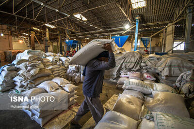 تخصیص بیش از ۵۶۰۰ تن برنج و شکر طی سال گذشته در استان زنجان