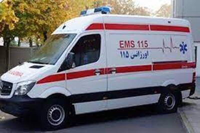 حمله مسلحانه مرگبار به آمبولانس در این شهر/ عکس