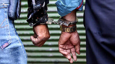 بازداشت اراذل و اوباش سابقه دار در ایلام