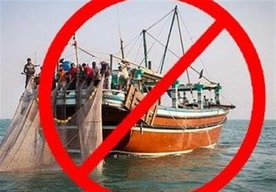 تقویم ممنوعیت صید ماهی حلوا سفید رعایت شود - تسنیم