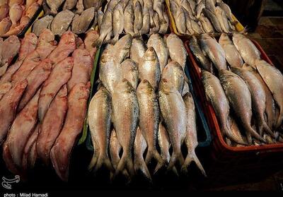 پیش‌بینی تولید 60 میلیون قطعه لارو ماهی در خوزستان - تسنیم