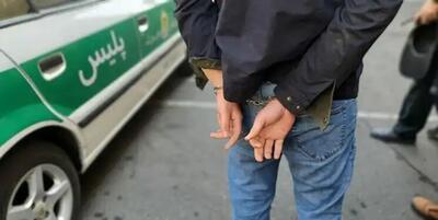 بازداشت عامل سرقت از ۲۰ خانه در تهرانپارس