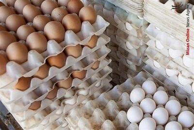 تولید یک میلیون و ۳۰۰ هزار تن تخم‌مرغ در سال گذشته/ ۵۵ هزار تن صادر شد