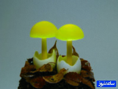 خلاقیت جالب طراح خوش ذوق در طراحی آباژور رومیزی به شکل قارچ‌های جنگلی+عکس/ کاملا طبیعی و استادانه👌