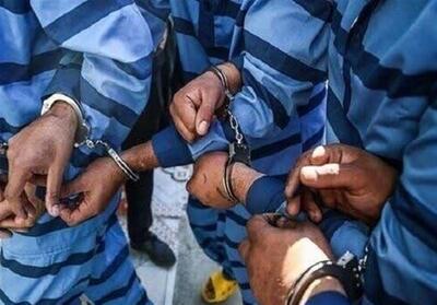 دستگیری 33 معتاد متجاهر در عملیات پلیس ابهر - تسنیم