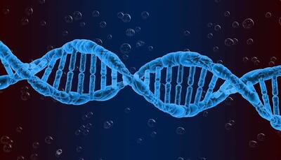 پژوهش جدید: محققان تأثیر شخصیت افراد بر بیان ژن‌ها در بدن را نشان دادند