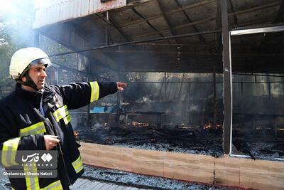 (تصاویر) آتش سوزی در محوطه کاخ چایخوران چالوس