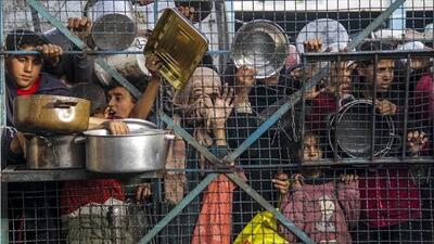 75 درصد از مردم غزه آواره شده اند