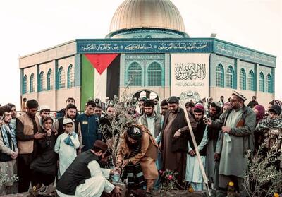 افغانستان| راه حل دائمی مسئله فلسطین نابودی اسرائیل است - تسنیم