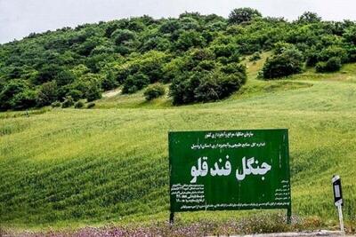 ۶۳ هکتار از جنگل‌های استان اردبیل غنی‌سازی شد