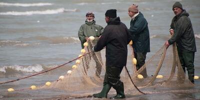 فصل صید ماهیان استخوانی در دریای خزر به اتمام رسید