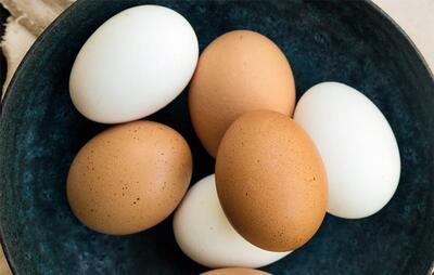 تخم‌مرغ قهوه‌ای بهتر است یا سفید؟ | اقتصاد24