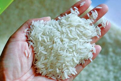 (عکس) سفر به ایران قدیم؛ ژاپنی‌ها از ایران برنج خریدند