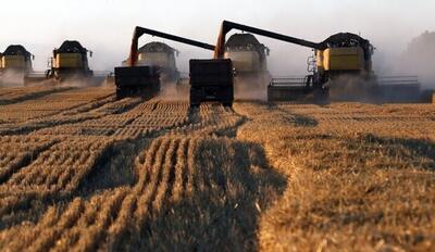 رتبه نخست آذربایجان شرقی در کشاورزی قراردادی در کشور