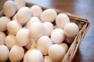 میزان صادرات تخم مرغ ایران چقدر است؟