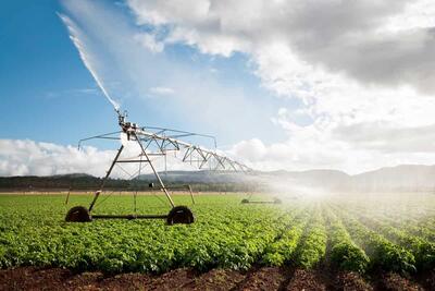 مدیریت منابع آبی در بخش کشاورزی ضروری است
