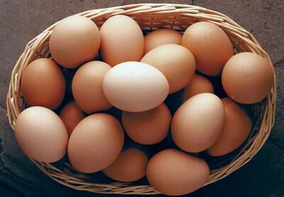 کاهش قیمت تخم مرغ پوسته قهوه‌ای در میادین و بازار‌های میوه و تره‌بار