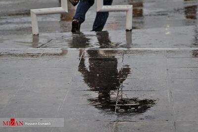 بارش باران در برخی از محور‌های استان‌های گیلان و مازندران